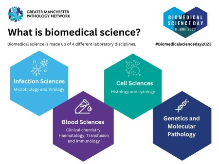 Infographic showing the 4 different disciplines of biomedical science. 