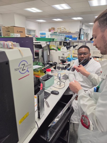 Biomedical Scientists looking at glass pathology slides